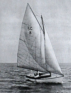HMCo #794s Anchovy