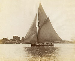 Herreshoff #186606es Violet