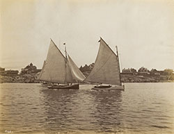 Herreshoff #187001es Bessie