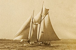 Herreshoff #187009es Zaidee
