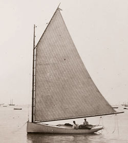 Herreshoff #187501es Dandelion [Dandylion]