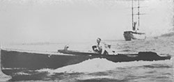 HMCo #266p Polyana