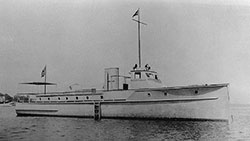 HMCo #316p Kangaroo