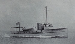 HMCo #318p Commodore