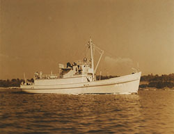 HMCo #425p APc1