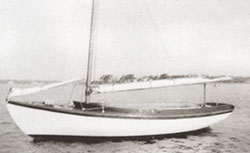 HMCo #1371s Majo