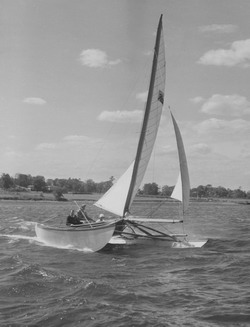 HMCo #1519s Sea Spider